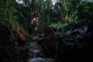 BIB: 
                            <button type="button" onclick="openModal(26205354)" class="btn btn-primary btn-sm float-right btn-popup" data-toggle="modal" data-target=".modal-high-quality">
                        <i class="fas fa-shopping-cart"></i> Add to Cart
                    </button>
                                            <button type="button" onclick="isThisMe(26205354, true)" class="btn btn-success btn-sm float-right btn-popup btn-isme hidden" data-toggle="tooltip" data-placement="bottom" title="นี่คือรูปของคุณใช่ไหม คลิกที่นี่เพื่อเอาเข้าอัลบั้ม">
                        <i class="fas fa-plus"></i> Add to album
                    </button>
                    <button type="button" onclick="isThisMe(26205354, false)" class="btn btn-warning btn-sm float-right btn-popup btn-isnotme hidden">
                        <i class="fas fa-ban"></i> Remove from album
                    </button>